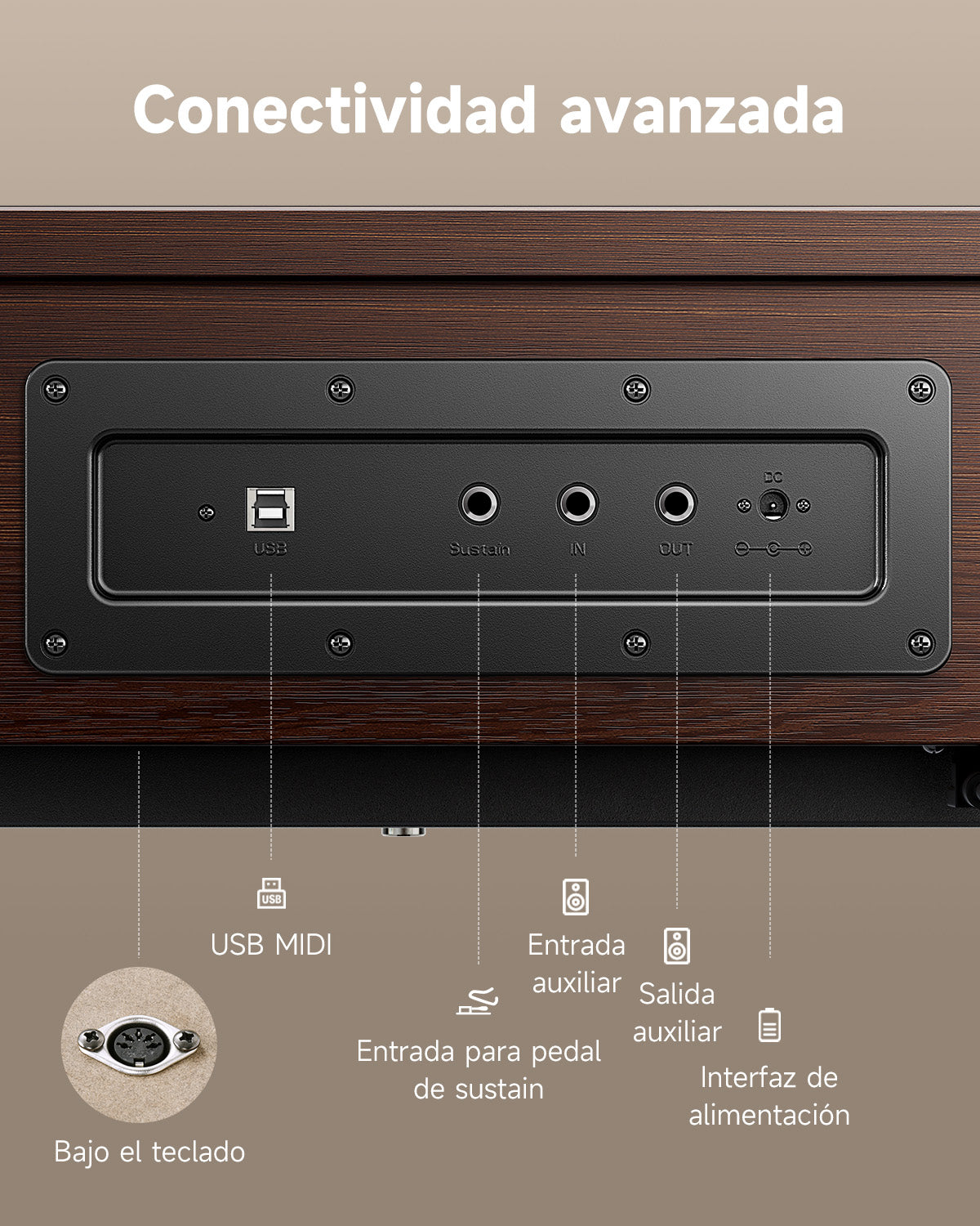 Donner OURA™ R300 Piano digital de estilo casero-Marrón##