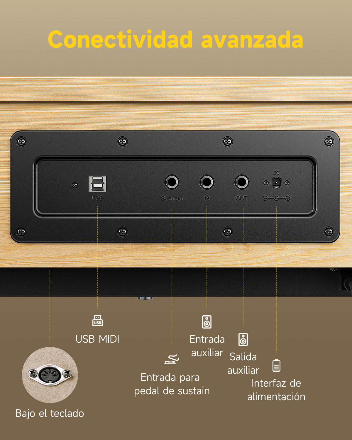 Donner OURA™ R300 Piano digital doméstico de 88 teclas Madera clara