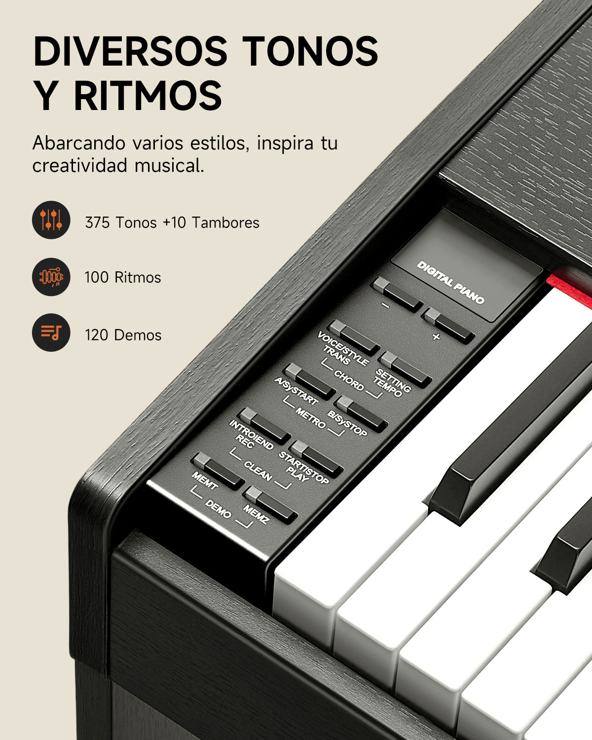 Donner DDP-50 Piano digital contrapesado de 88 teclas