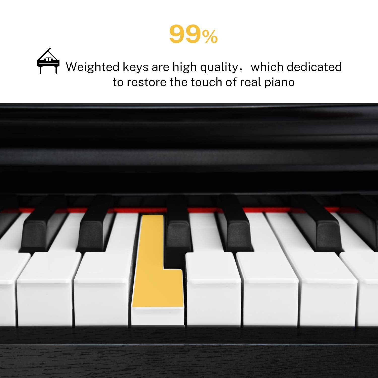 Donner DDP-100 Piano digital para principiantes 88 teclas ponderadas
