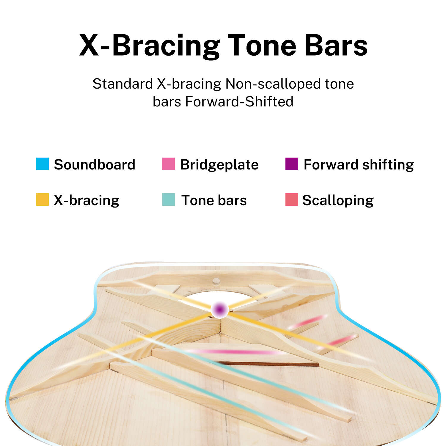 Donner DAG-1CB Cutaway 41-Inch Full-Size Acoustic Guitar Beginner Kit, Right Handed, Black - Donner music- UK