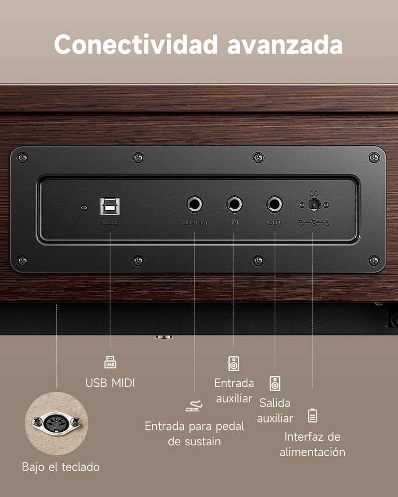 Donner OURA™  R300 Piano digital doméstico de 88 teclas Madera clara