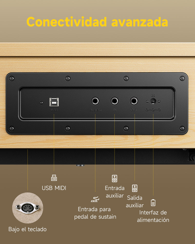 Donner OURA™  R300 Piano digital doméstico de 88 teclas Madera clara