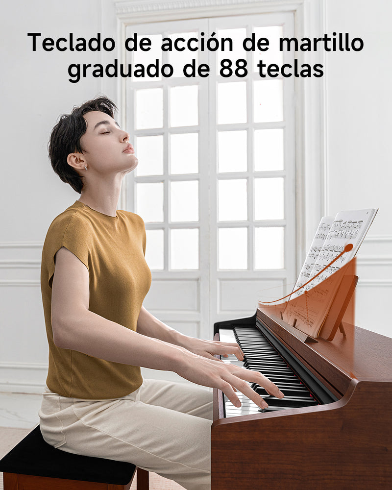 【Pre-venta】Donner DDP-200 PRO Piano digital vertical con 88 teclas de acción de martillo graduada progresiva - Envío el 6 de diciembre.