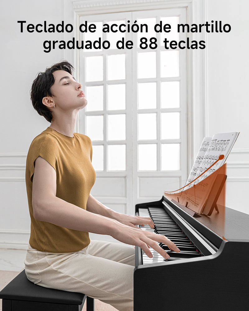 【Pre-venta】Donner DDP-200 PRO Piano digital vertical con 88 teclas de acción de martillo graduada progresiva - Envío el 6 de diciembre.