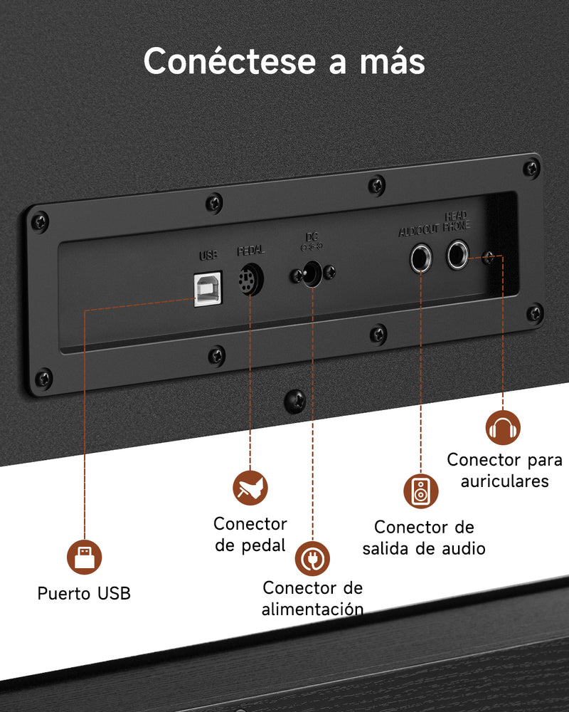 Donner DDP-200 PRO Piano digital vertical con 88 teclas de acción de martillo graduada progresiva