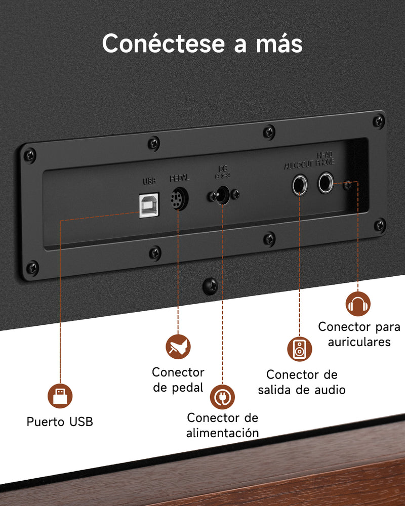 Donner DDP-200 PRO Piano digital vertical con 88 teclas de acción de martillo graduada progresiva