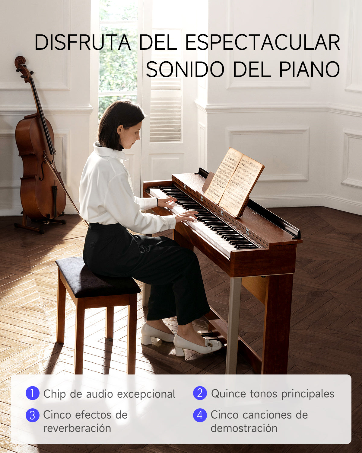 Donner DDP-200 Piano Digital con Acción de Martillo Graduada-DDP-200MK2 Versión actualizada##