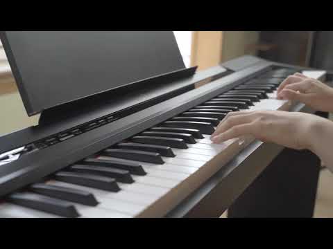 Donner DEP-10 piano digitale portátile semi ponderado con 88 teclas con soporte