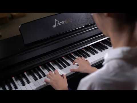 Donner DDP-100 Piano digital para principiantes 88 teclas ponderadas